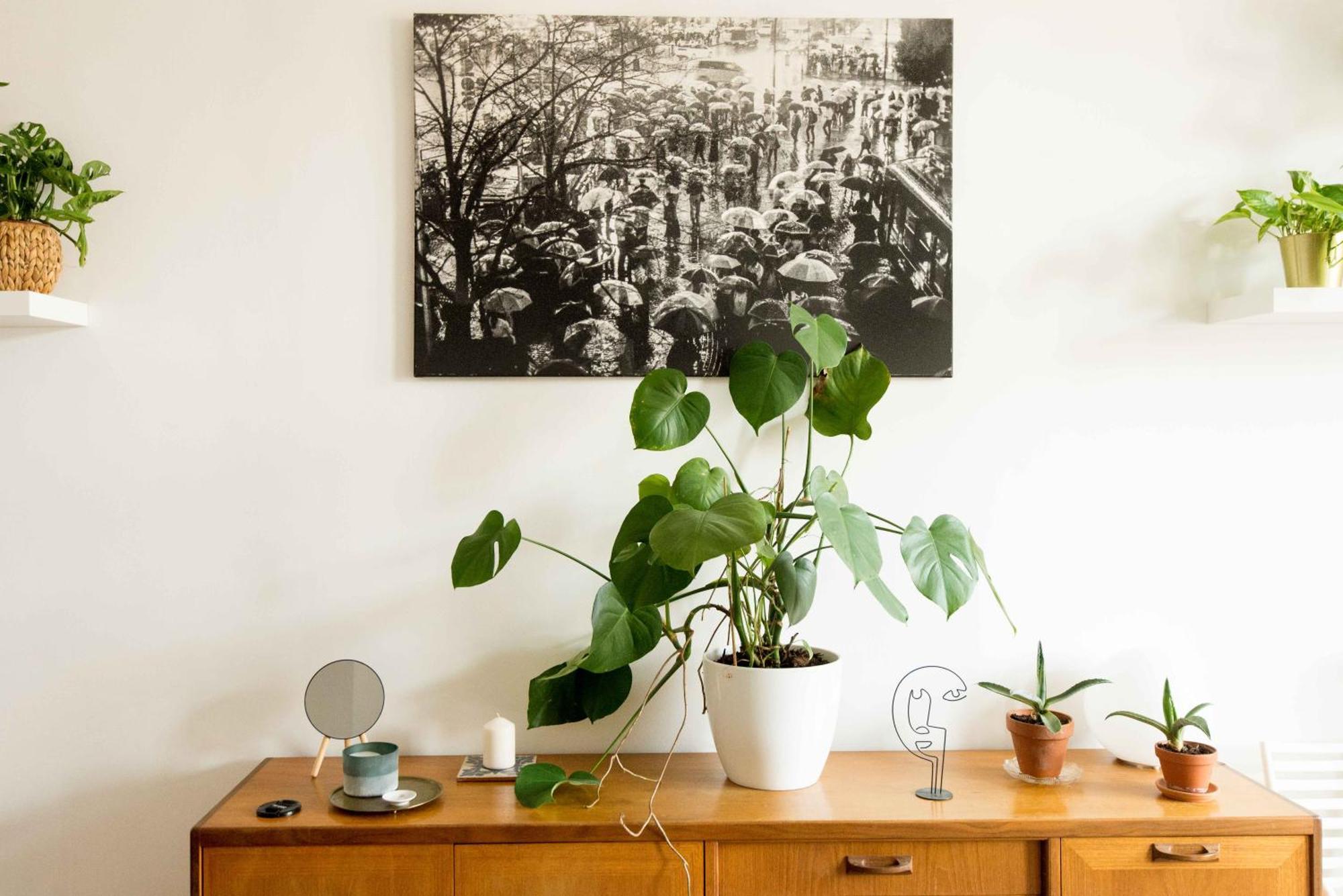 Dohany Design Apartments Budapešť Pokoj fotografie